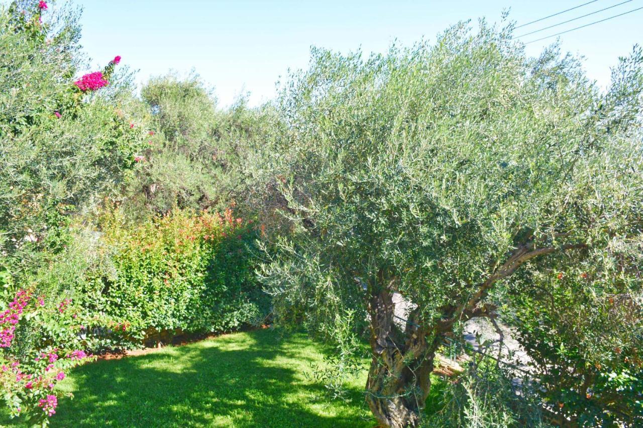 Pebbles And Sea At Barbati With Shared Pool Appartement Buitenkant foto